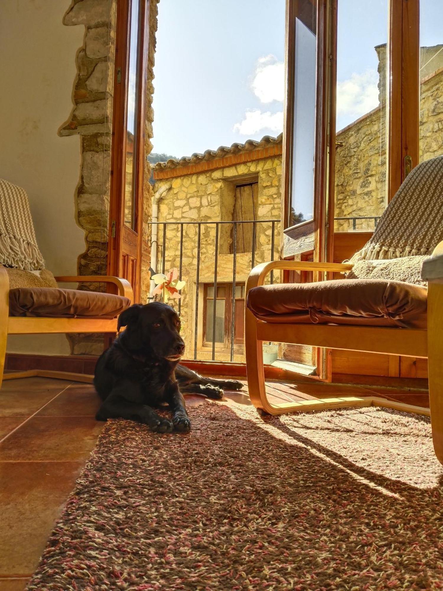 El Refugi Hostel Arboli Luaran gambar